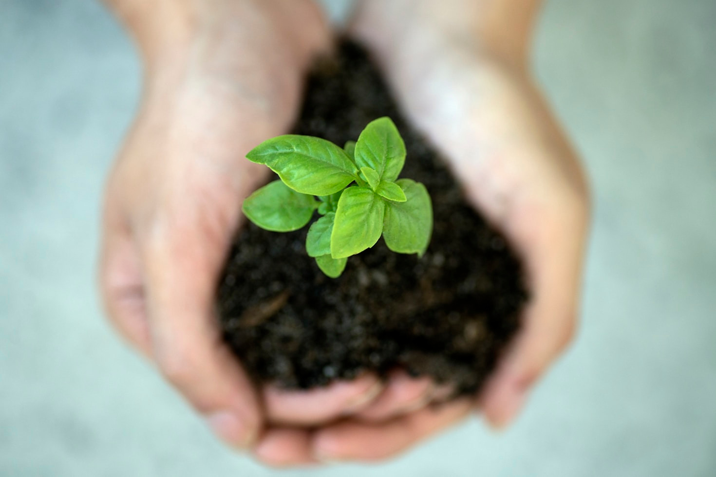 O futuro da sustentabilidade digital no Brasil
