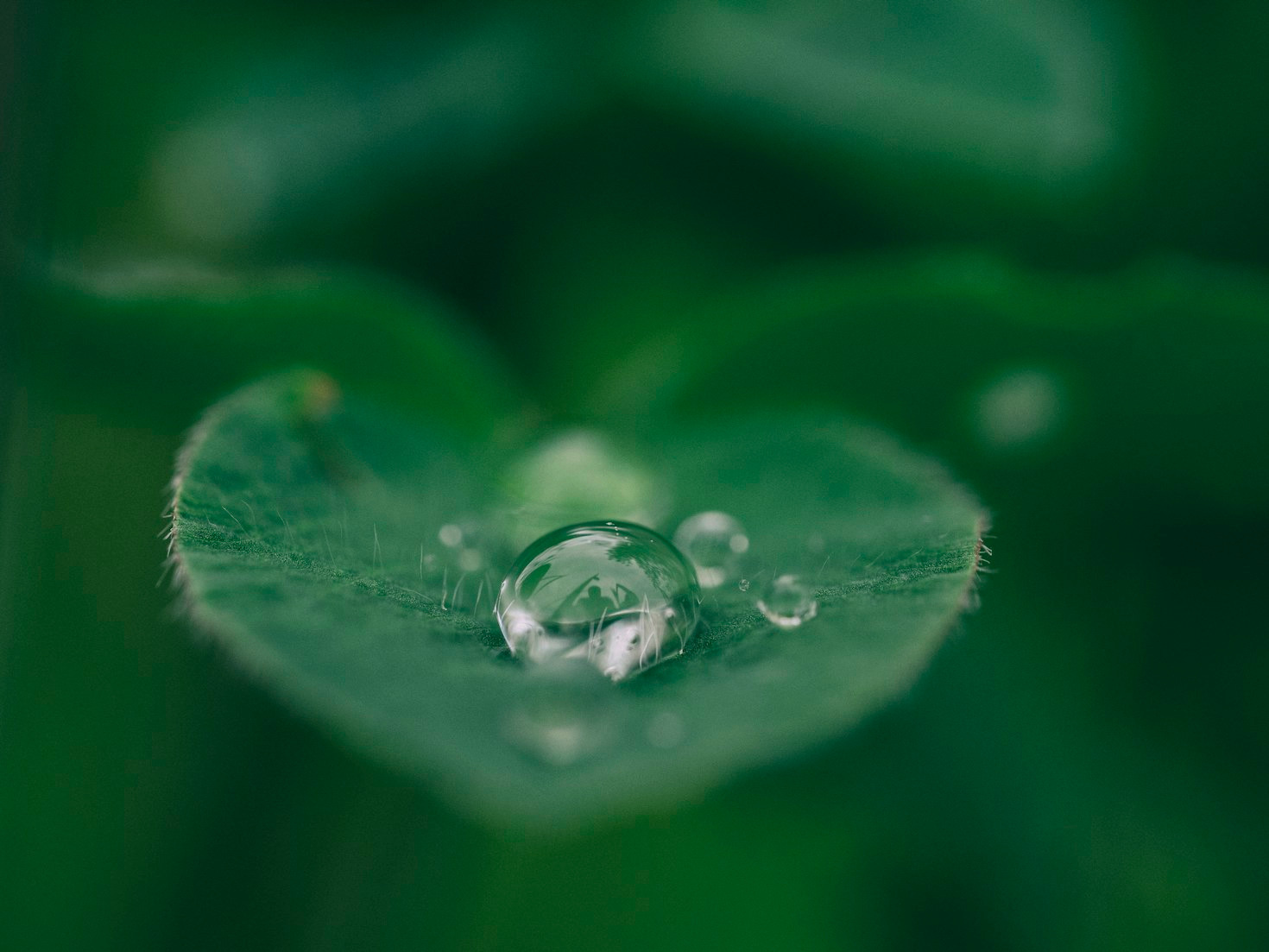 O impacto positivo da automação no meio ambiente