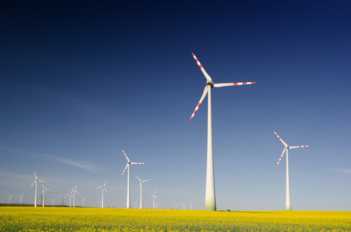 Tendências globais em tecnologia e conservação ambiental